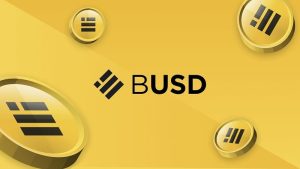 Accept Binance USD Payments BUSD Payment Gateway