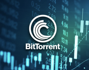 Accept BitTorrent Payments BTT Payment Gateway