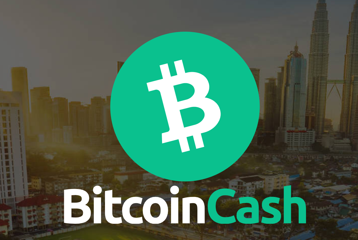 Accept Bitcoin Cash Payments