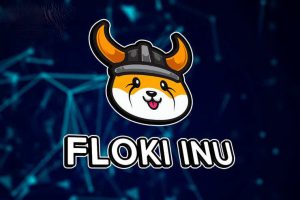 Accept FLOKI Payments FLOKI Payment Gateway