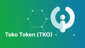 Accept TOKO Payments TOKO Payment Gateway