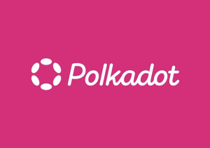 Accept Polkadot Payments DOT Payment Gateway