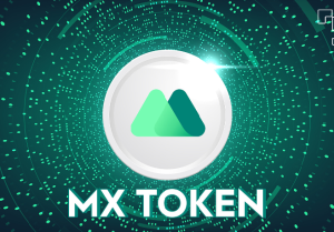 Accept MX TOKEN Payments MX Payment Gateway