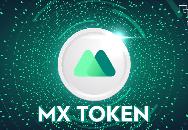 Accept MX TOKEN Payments – MX Payment Gateway