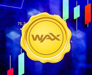 Accept WAX Payments WAXP Payment Gateway