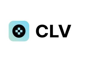 clover finance payments