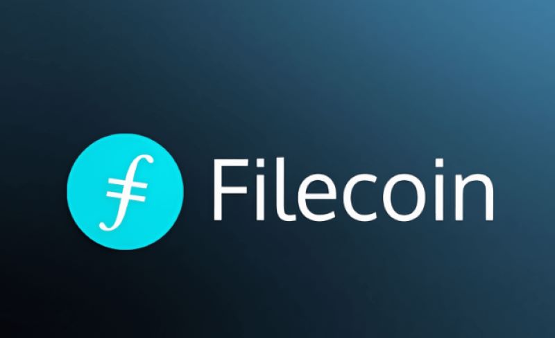 fliecoin payments 3